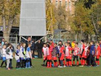 futbol-5302